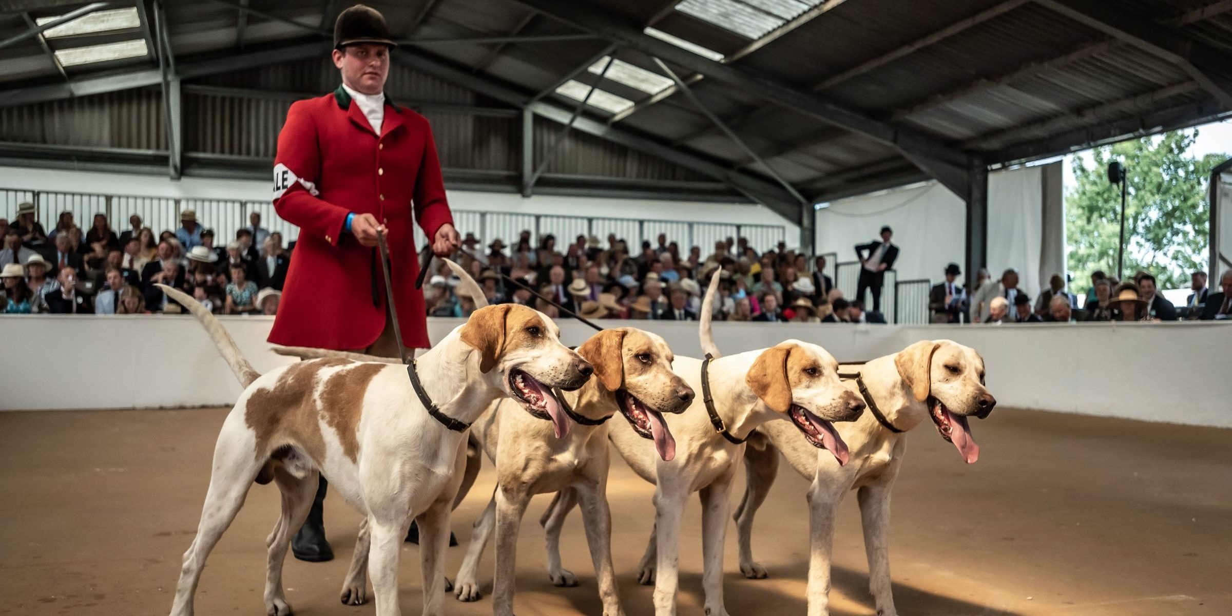 Festival of Hunting East of England Agricultural Society